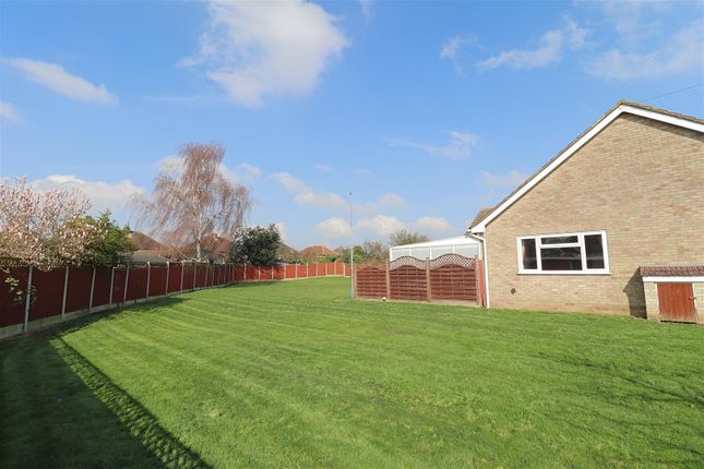 Detached bungalow for sale in Motts Close, Braintree
