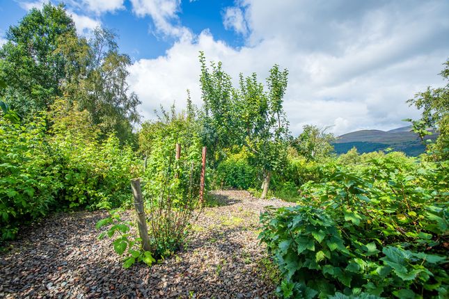 Country house for sale in Tarvie, Strathpeffer