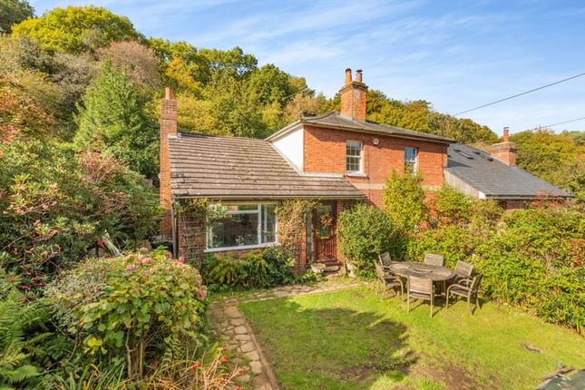Thumbnail Semi-detached house for sale in Felday Glade, Holmbury St. Mary, Dorking