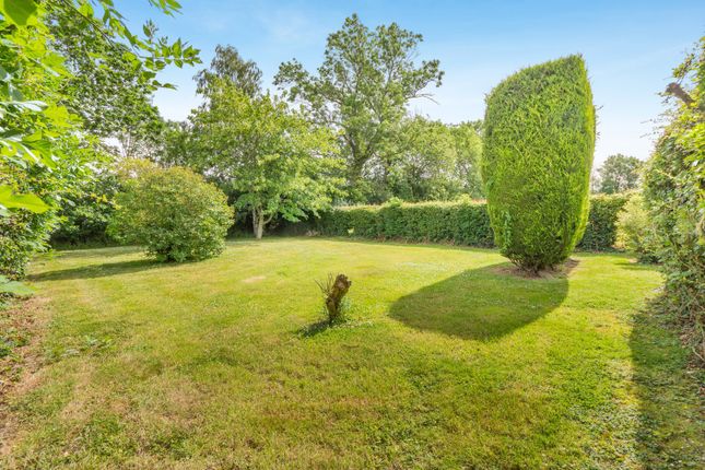 130, Moorgreen, Nottingham photo 4