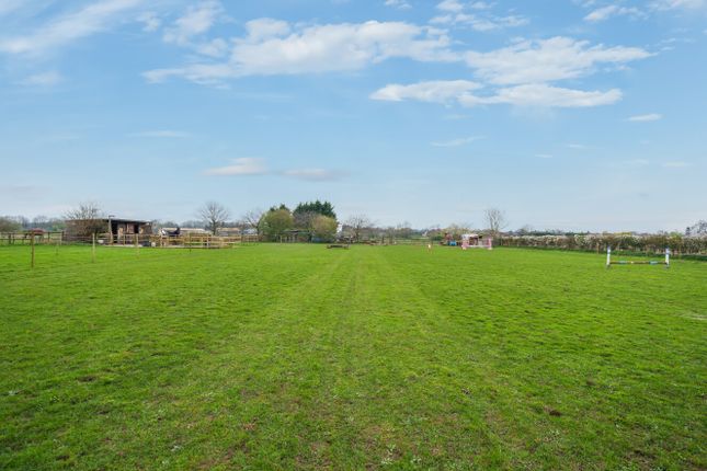 Thumbnail Equestrian property for sale in Asquith Avenue, Ealand, Scunthorpe