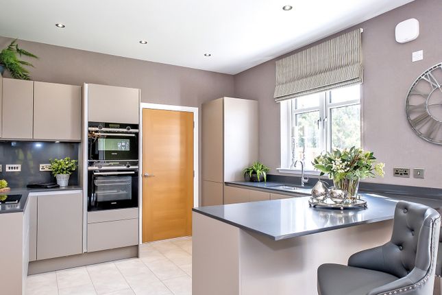 The Larch, Winchburgh,, Broxburn photo 4