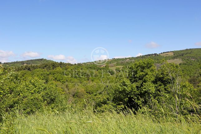 Villa for sale in Montegabbione, Terni, Umbria