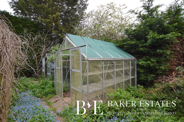 Detached bungalow for sale in Cherry Garden Lane, Danbury, Chelmsford