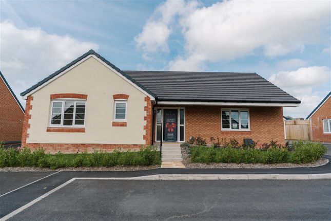 Thumbnail Bungalow for sale in Closewool Grove, South Molton
