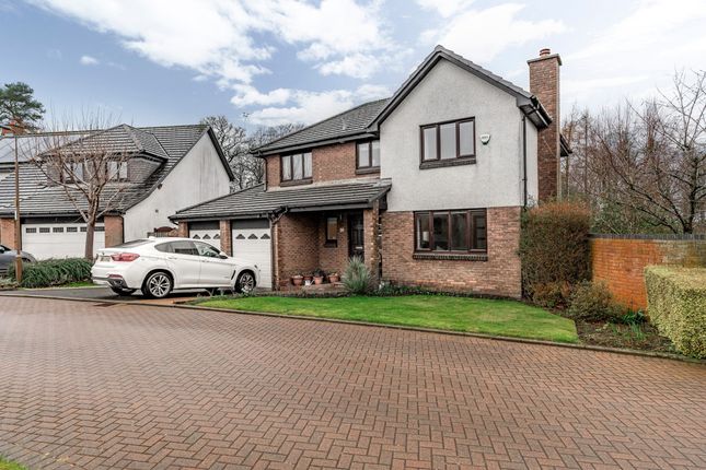 Thumbnail Detached house for sale in 16 Netherbank View, Liberton
