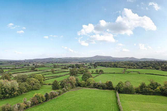 -68Dd65999388F-13...