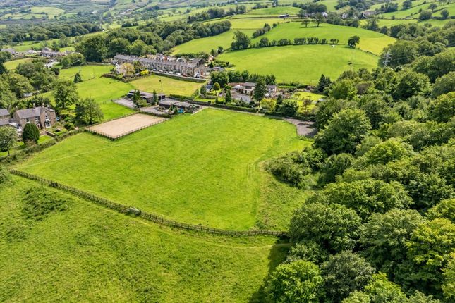 Chew Valley Stables, Glossop photo 2