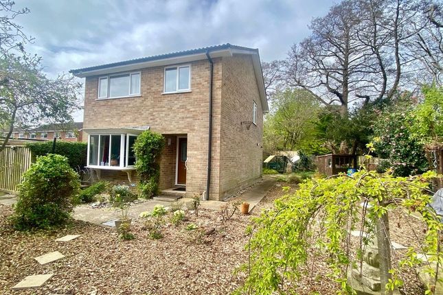 Semi-detached house for sale in Grange Close, Everton, Lymington
