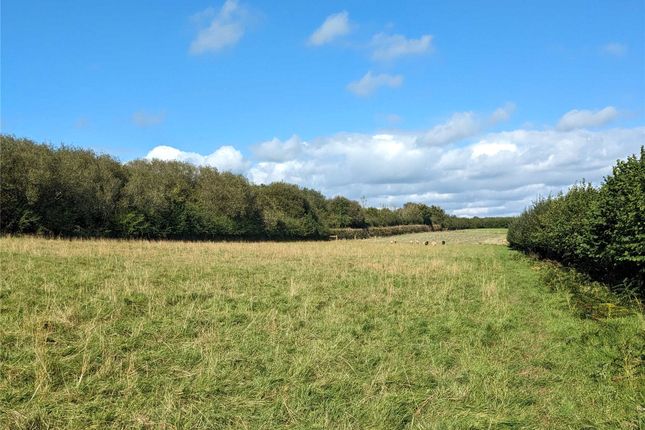 Thumbnail Land for sale in Lifton - 1.00 Acres, Devon