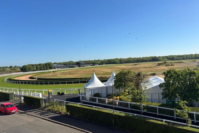The Paddock, East Lothian photo 5
