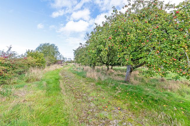 Detached house for sale in Mill Lane, Kingsley, Frodsham