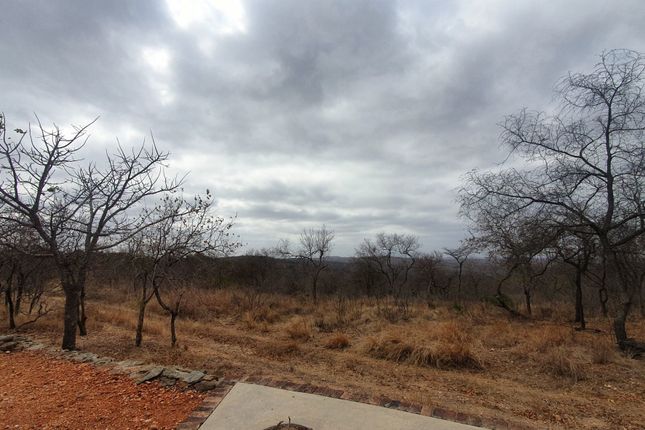 Farm for sale in 1 Selati Ranch, 1 Harmony, Harmony Block, Hoedspruit, Limpopo Province, South Africa