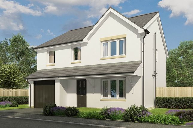 Thumbnail Detached house for sale in "The Fraser - Plot 92" at Bannerman Cruick, Edinburgh