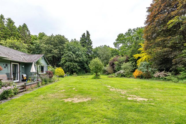 Cedar Lodge, Bucklands, Hawick photo 4