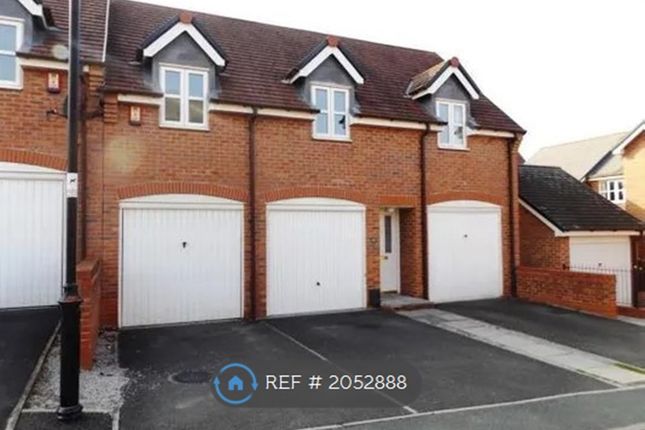 Thumbnail Semi-detached house to rent in Golden Hill, Weston, Crewe