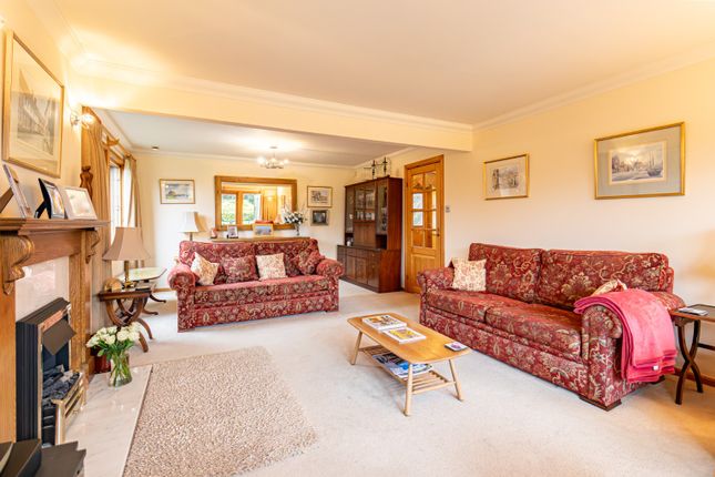 The Orchard, Hall Lane, King's Lynn photo 4
