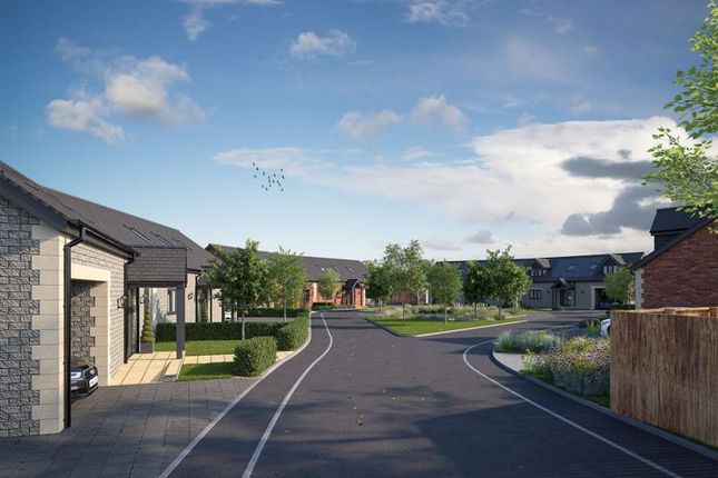 15 Blackberry Court, School Street, Drayton photo 2