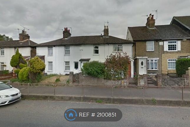 Thumbnail Terraced house to rent in Loose Rd, Maidstone