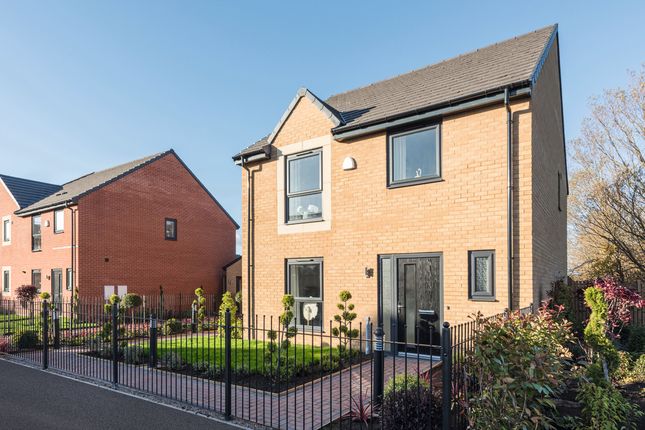Thumbnail Detached house for sale in "The Mylne" at Meadowsweet Road, Redcar