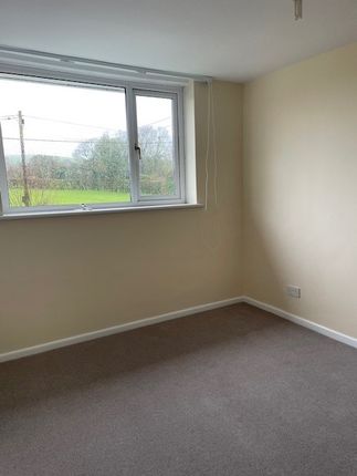 Terraced house to rent in Belmont Terrace, East Meon, Hampshire