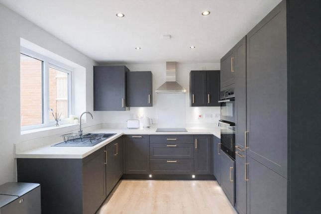 19, Dulmoor Drive, Banwell photo 4