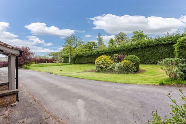 Equestrian property for sale in Buxton Road, Congleton
