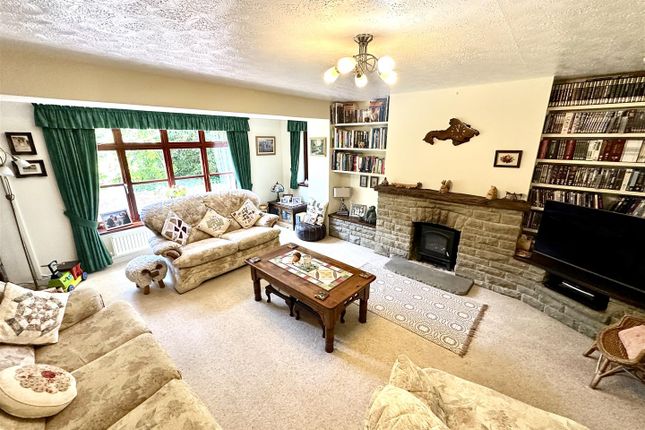 The Reddings,, Chepstow photo 3