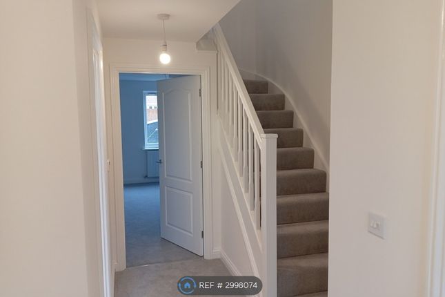 Harvest Grove, Wixams, Bedford photo 4