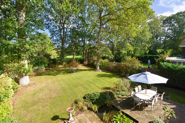 11 Broad Walk, Cranleigh photo 4