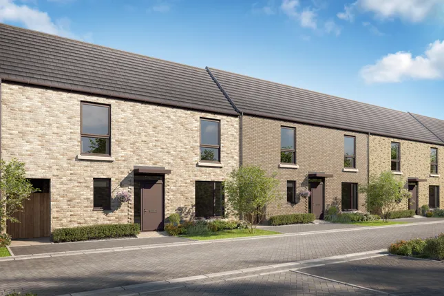 Latimer by Clarion - Marleigh Park