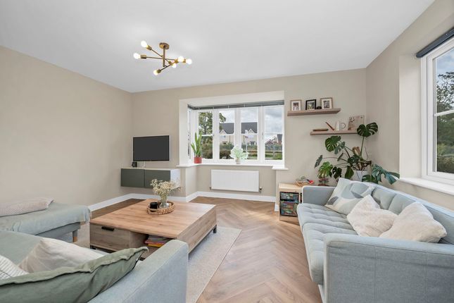 Myrtlewood Road, Bury St. Edmunds photo 4