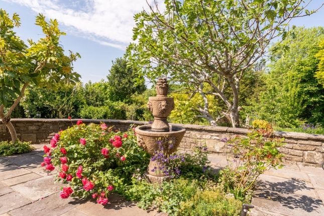 Stow-Park-56_72E3-E1Ec-8E2F-6B35-190A-Edba-83B1-1c