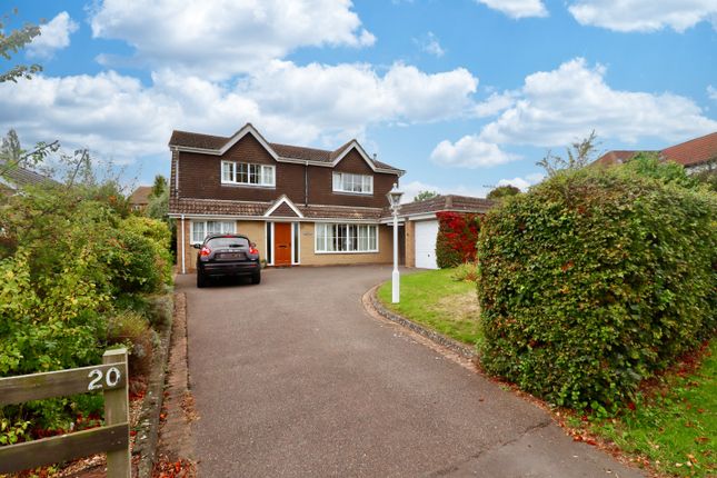 Img_32016_1_Original (1)