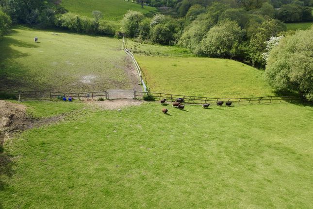 1 Sychpant, Gorrig Road, Llandysul photo 4
