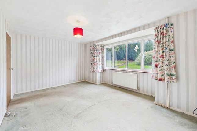 The Spinney, Newport photo 4