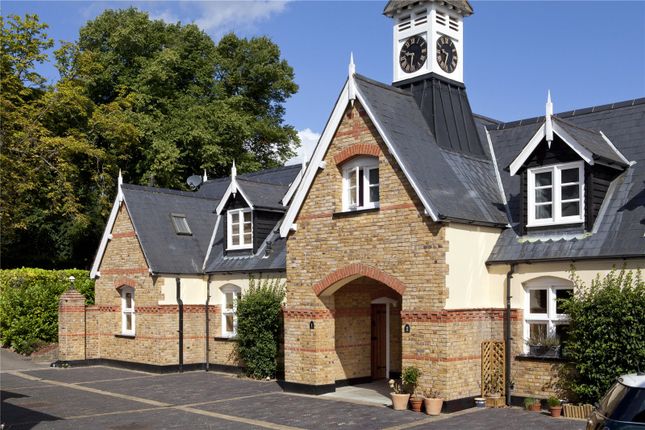 Polo Mews
