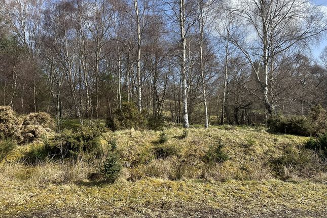 Land for sale in Errogie, Inverness