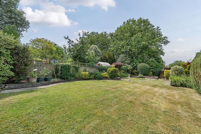 Rear Garden Angle 2