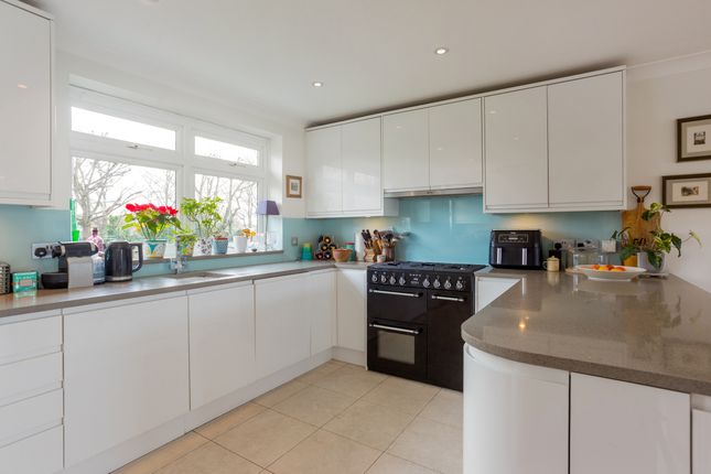 Detached house for sale in Ibis Lane, London