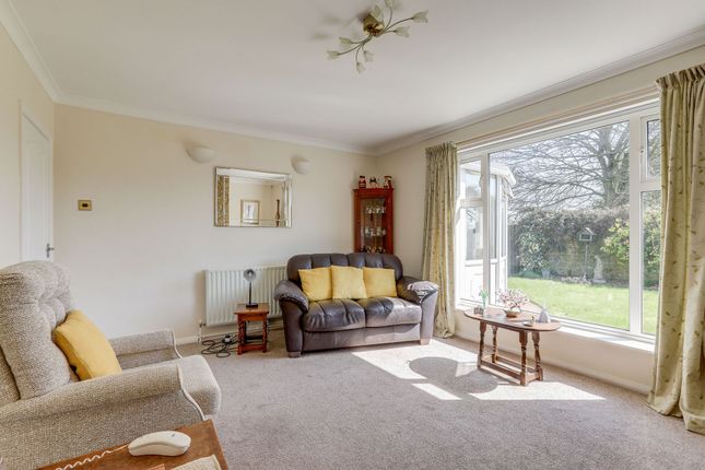 4 Arcadia Avenue, Mansfield photo 2