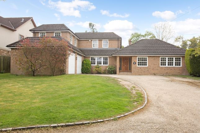 Thumbnail Detached house to rent in Chorleywood Road, Loudwater, Rickmansworth