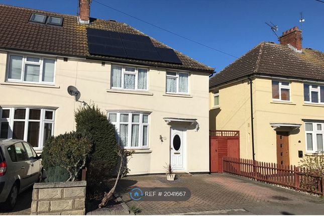 Thumbnail Semi-detached house to rent in Springfield Park Avenue, Chelmsford