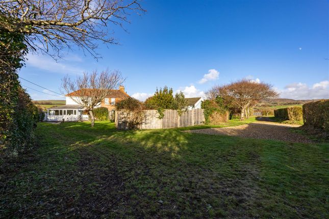 1 Brook Green Cottages, Military Road, Brook photo 2