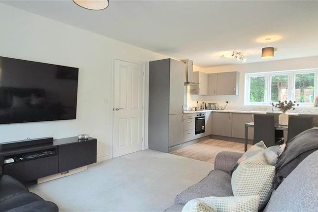 Living Area.1