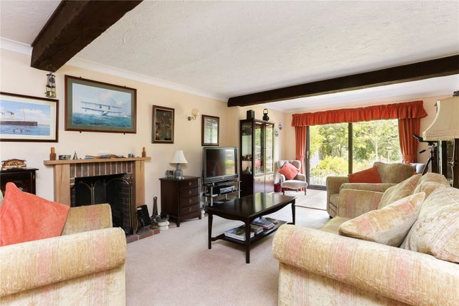 Tawny, Livery Road, Salisbury photo 2