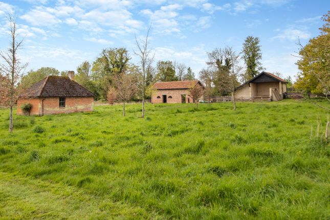 Grounds