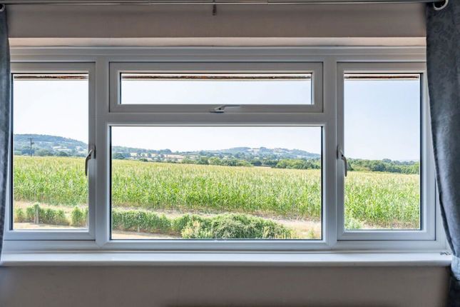20, Woodbury Park, Axminster photo 5