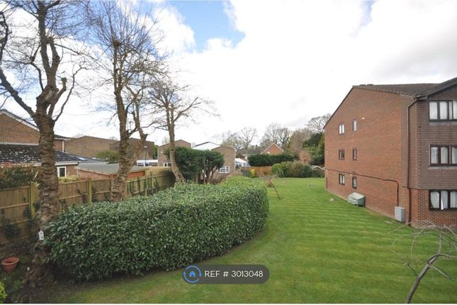 Sequoia Park, Brighton Road Southgate, Crawley photo 4