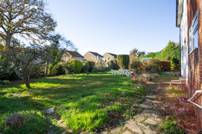 Hilbre, Furnham Crescent, Chard photo 2
